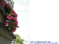 ���ǂ���̂����q���h�c�c�W�@�B�e�ꏊ�F��ˎR�@���{