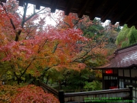 ���݂��ƃ����v�A�Ȃ�ƂȂ������������Ǝv���܂��@�B�e�ꏊ�F��茧����A���{