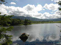 �m���܌΂̑��΁@�B�e�ꏊ�F�m��(SHIRETOKO)�@�k�C��