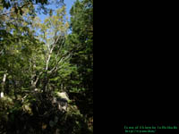 �m���܌΂̌��n�с@�B�e�ꏊ�F�m��(SHIRETOKO)�@�k�C��