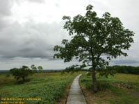 ���H�����@�B�e�ꏊ�F���H����(KUSHIRO)�@�k�C��