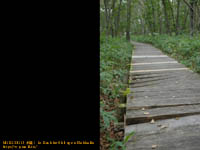 ���H�����̖ؓ��@�B�e�ꏊ�F���H����(KUSHIRO)�@�k�C��