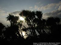 �[���@�B�e�ꏊ�F�{�Ó��A���{