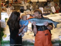 �ɂ�߂����A�B�e�ꏊ�F�V�A�g���A�A�����J