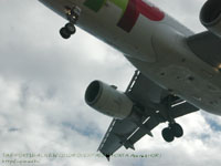 �z���^��`�ɉ���� TAP PORTUGAL A320 �B�e�ꏊ�FHORTA �A�\�[���X����(HOR)�A�|���g�K��(PORTUGAL)