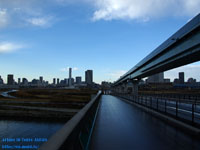 �L�����L�F�ւ̓�( Ariake ) �B�e�ꏊ�F�L�� �A����